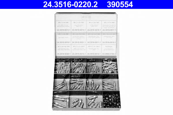  24.3516-0220.2 Assortment, breather screws 24351602202: Buy near me in Poland at 2407.PL - Good price!