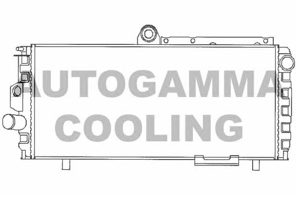 Autogamma 100001 Kühler motorkühlung 100001: Kaufen Sie zu einem guten Preis in Polen bei 2407.PL!