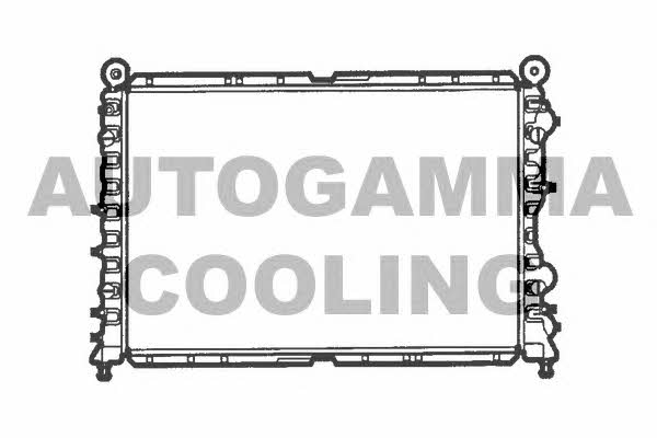 Autogamma 100010 Радиатор охлаждения двигателя 100010: Отличная цена - Купить в Польше на 2407.PL!
