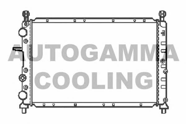 Autogamma 100017 Радиатор охлаждения двигателя 100017: Отличная цена - Купить в Польше на 2407.PL!