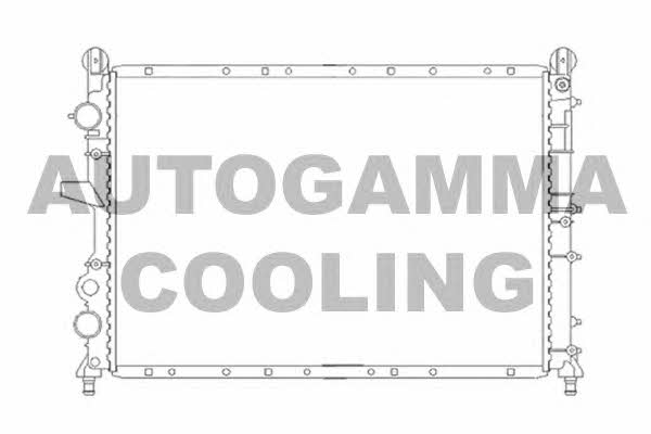 Autogamma 100018 Радиатор охлаждения двигателя 100018: Отличная цена - Купить в Польше на 2407.PL!