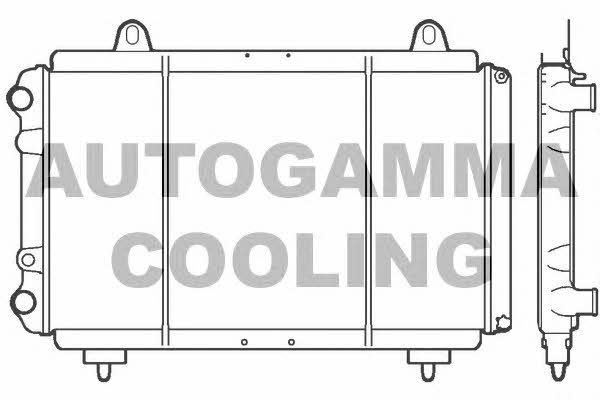 Autogamma 100035 Радіатор охолодження двигуна 100035: Приваблива ціна - Купити у Польщі на 2407.PL!