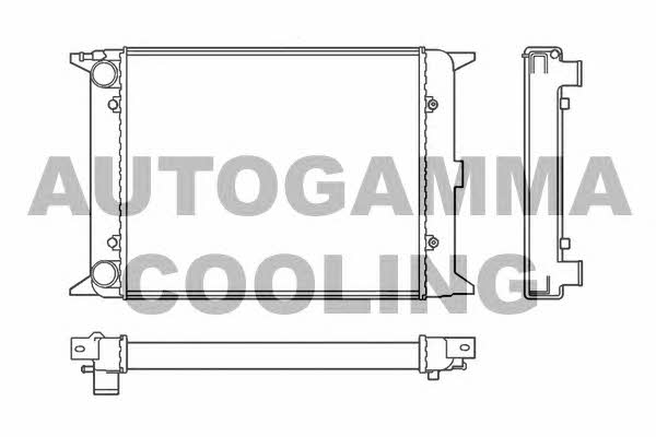 Autogamma 100036 Радиатор охлаждения двигателя 100036: Отличная цена - Купить в Польше на 2407.PL!