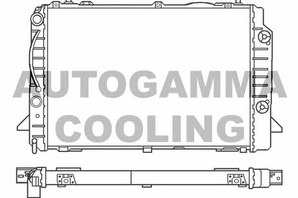 Autogamma 100053 Радіатор охолодження двигуна 100053: Приваблива ціна - Купити у Польщі на 2407.PL!