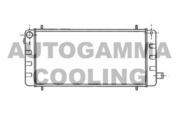 Autogamma 100065 Радиатор охлаждения двигателя 100065: Отличная цена - Купить в Польше на 2407.PL!