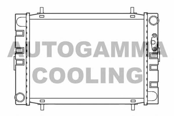 Autogamma 100069 Радиатор охлаждения двигателя 100069: Отличная цена - Купить в Польше на 2407.PL!