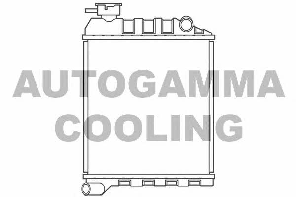 Autogamma 100075 Радиатор охлаждения двигателя 100075: Отличная цена - Купить в Польше на 2407.PL!
