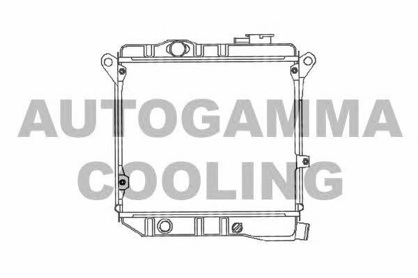 Autogamma 100076 Radiator, engine cooling 100076: Buy near me in Poland at 2407.PL - Good price!