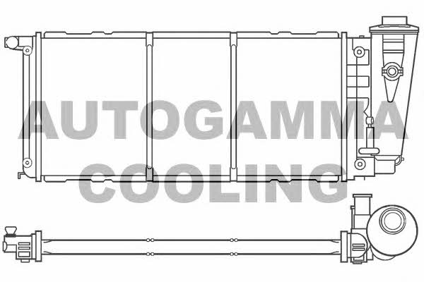 Autogamma 100079 Radiator, engine cooling 100079: Buy near me in Poland at 2407.PL - Good price!