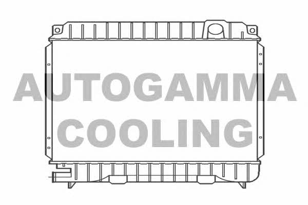 Autogamma 100084 Радиатор охлаждения двигателя 100084: Отличная цена - Купить в Польше на 2407.PL!