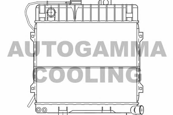 Autogamma 100089 Радиатор охлаждения двигателя 100089: Отличная цена - Купить в Польше на 2407.PL!