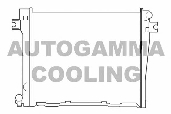 Autogamma 100098 Радіатор охолодження двигуна 100098: Приваблива ціна - Купити у Польщі на 2407.PL!