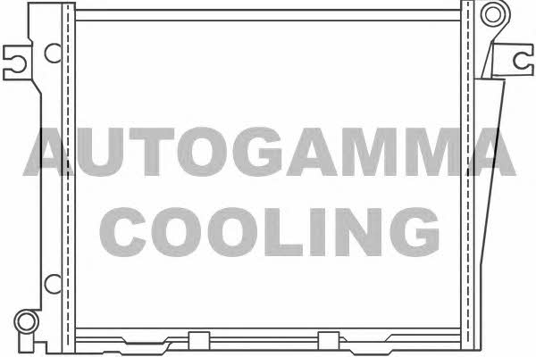 Autogamma 100104 Радіатор охолодження двигуна 100104: Купити у Польщі - Добра ціна на 2407.PL!