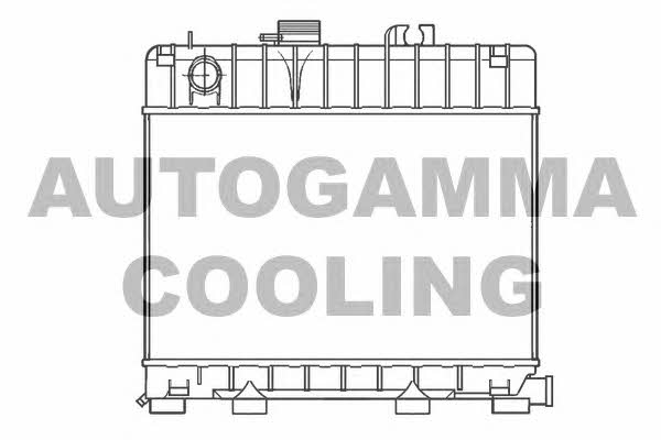 Autogamma 100112 Радиатор охлаждения двигателя 100112: Отличная цена - Купить в Польше на 2407.PL!