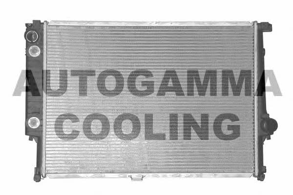 Autogamma 100131 Радіатор охолодження двигуна 100131: Приваблива ціна - Купити у Польщі на 2407.PL!