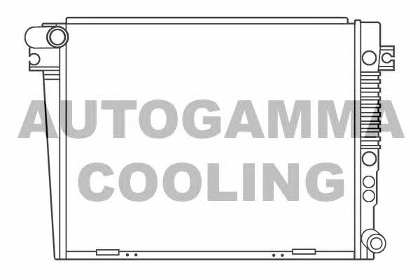 Autogamma 100135 Radiator, engine cooling 100135: Buy near me in Poland at 2407.PL - Good price!