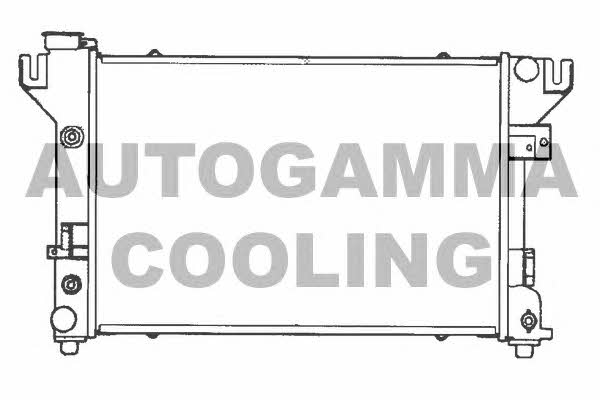 Autogamma 100136 Radiator, engine cooling 100136: Buy near me in Poland at 2407.PL - Good price!