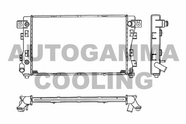 Autogamma 100137 Radiator, engine cooling 100137: Buy near me in Poland at 2407.PL - Good price!
