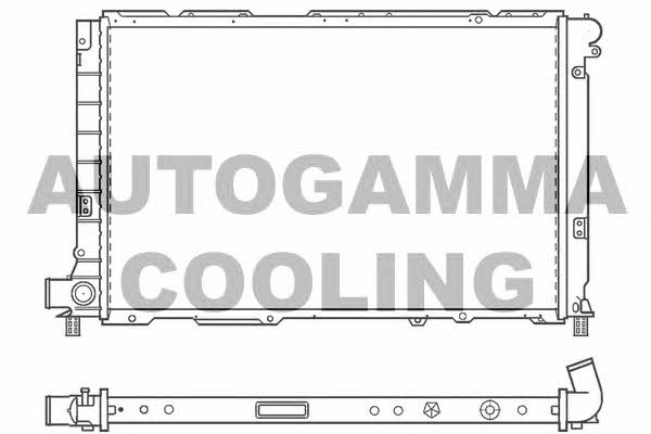 Autogamma 100143 Radiator, engine cooling 100143: Buy near me in Poland at 2407.PL - Good price!