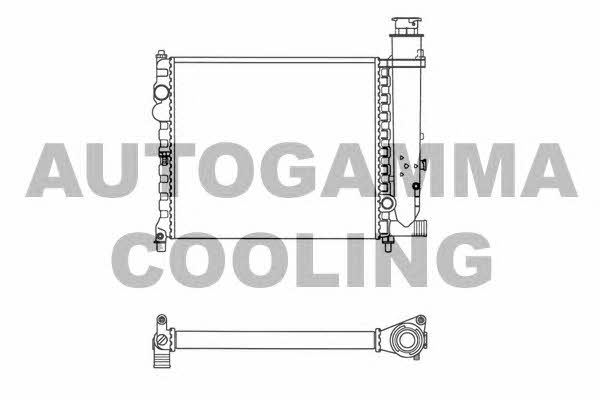 Autogamma 100162 Radiator, engine cooling 100162: Buy near me in Poland at 2407.PL - Good price!