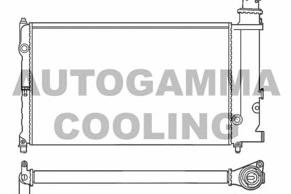 Autogamma 100163 Радиатор охлаждения двигателя 100163: Отличная цена - Купить в Польше на 2407.PL!