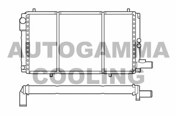 Autogamma 100165 Radiator, engine cooling 100165: Buy near me in Poland at 2407.PL - Good price!