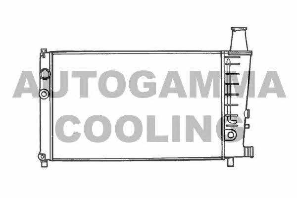Autogamma 100166 Радиатор охлаждения двигателя 100166: Отличная цена - Купить в Польше на 2407.PL!