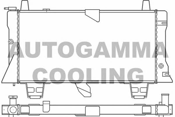 Autogamma 100179 Радиатор охлаждения двигателя 100179: Отличная цена - Купить в Польше на 2407.PL!