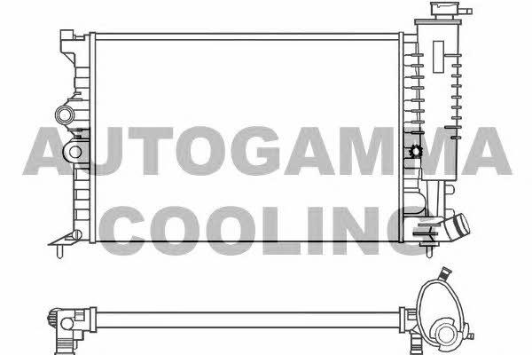 Autogamma 100203 Радіатор охолодження двигуна 100203: Купити у Польщі - Добра ціна на 2407.PL!
