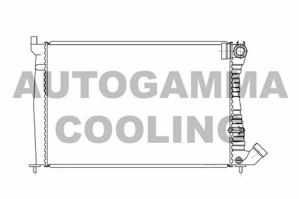 Autogamma 100205 Радіатор охолодження двигуна 100205: Приваблива ціна - Купити у Польщі на 2407.PL!