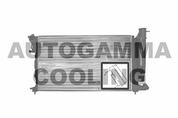 Autogamma 100212 Радиатор охлаждения двигателя 100212: Отличная цена - Купить в Польше на 2407.PL!