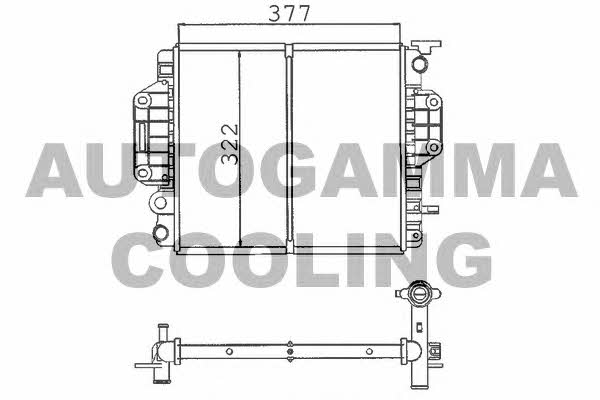 Autogamma 100243 Radiator, engine cooling 100243: Buy near me in Poland at 2407.PL - Good price!