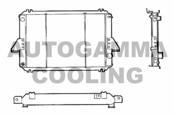 Autogamma 100245 Radiator, engine cooling 100245: Buy near me at 2407.PL in Poland at an Affordable price!