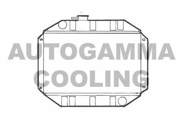 Autogamma 100320 Радіатор охолодження двигуна 100320: Купити у Польщі - Добра ціна на 2407.PL!