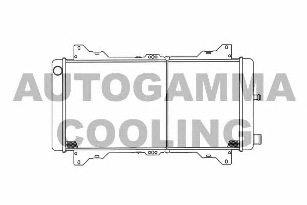 Autogamma 100336 Радиатор охлаждения двигателя 100336: Отличная цена - Купить в Польше на 2407.PL!