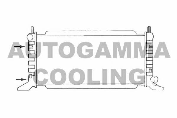Autogamma 100342 Радиатор охлаждения двигателя 100342: Отличная цена - Купить в Польше на 2407.PL!