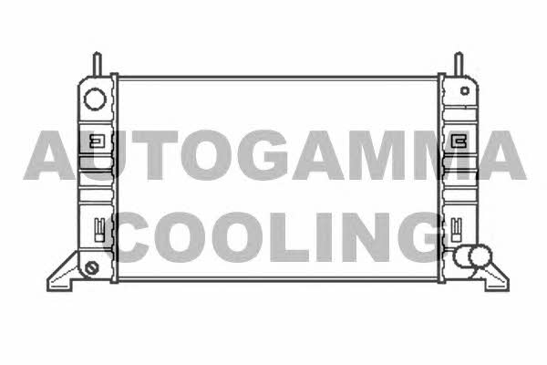 Autogamma 100344 Radiator, engine cooling 100344: Buy near me in Poland at 2407.PL - Good price!