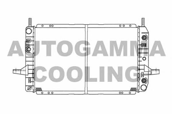 Autogamma 100380 Radiator, engine cooling 100380: Buy near me in Poland at 2407.PL - Good price!