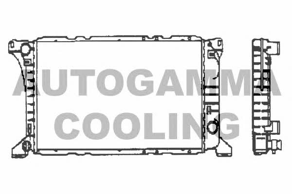 Autogamma 100393 Radiator, engine cooling 100393: Buy near me in Poland at 2407.PL - Good price!