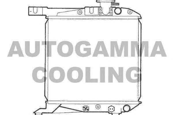 Autogamma 100412 Радиатор охлаждения двигателя 100412: Отличная цена - Купить в Польше на 2407.PL!