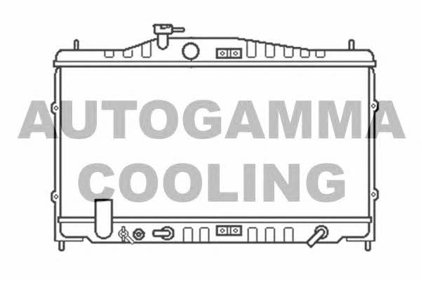 Autogamma 100427 Радіатор охолодження двигуна 100427: Приваблива ціна - Купити у Польщі на 2407.PL!