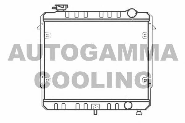 Autogamma 100442 Radiator, engine cooling 100442: Buy near me in Poland at 2407.PL - Good price!