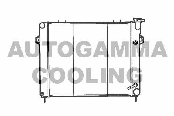 Autogamma 100443 Radiator, engine cooling 100443: Buy near me in Poland at 2407.PL - Good price!