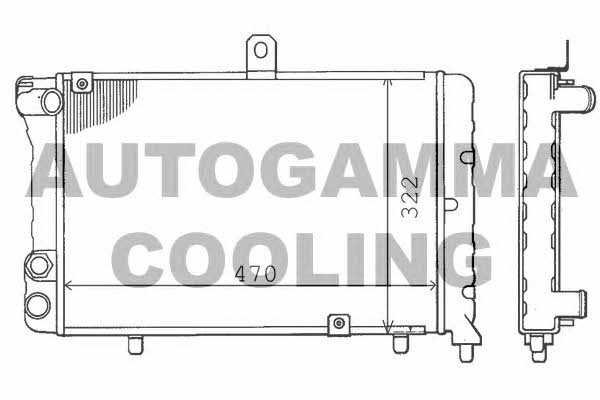 Autogamma 100449 Radiator, engine cooling 100449: Buy near me in Poland at 2407.PL - Good price!