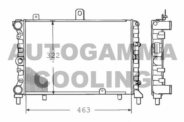 Autogamma 100450 Radiator, engine cooling 100450: Buy near me in Poland at 2407.PL - Good price!