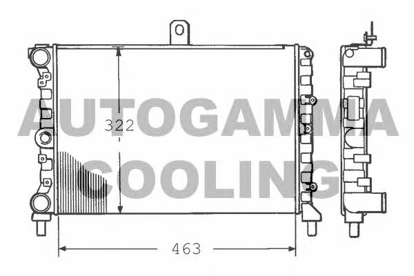 Autogamma 100451 Radiator, engine cooling 100451: Buy near me in Poland at 2407.PL - Good price!
