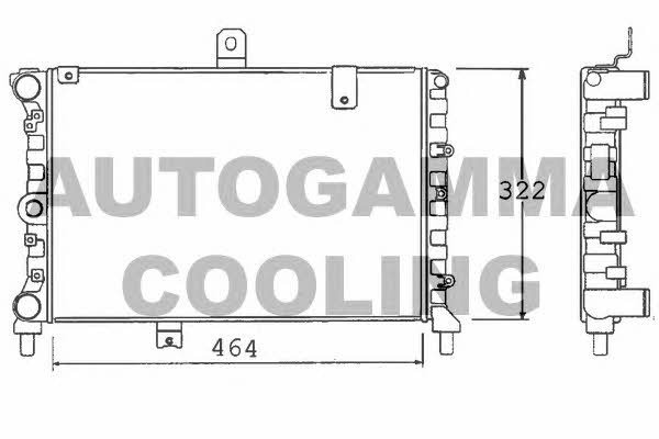 Autogamma 100453 Radiator, engine cooling 100453: Buy near me in Poland at 2407.PL - Good price!