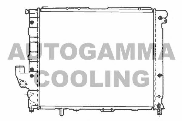 Autogamma 100467 Радіатор охолодження двигуна 100467: Приваблива ціна - Купити у Польщі на 2407.PL!