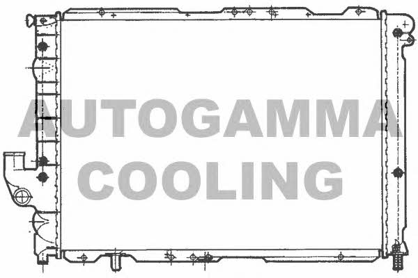 Autogamma 100469 Радиатор охлаждения двигателя 100469: Отличная цена - Купить в Польше на 2407.PL!