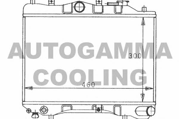 Autogamma 100481 Радиатор охлаждения двигателя 100481: Купить в Польше - Отличная цена на 2407.PL!